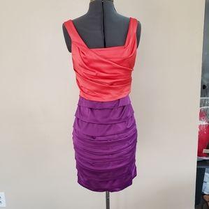 Express Dual Color Dress